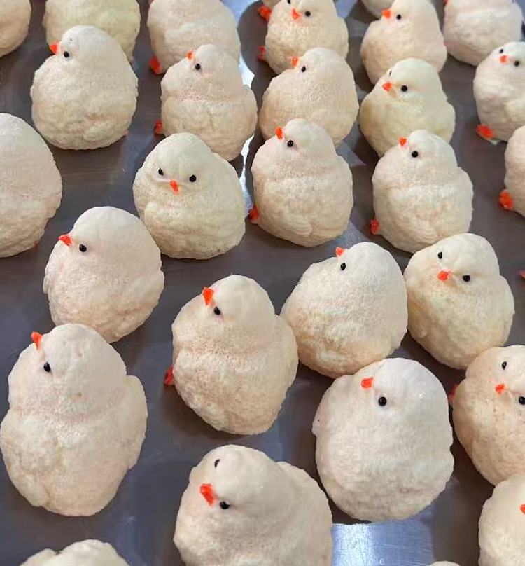 Mochi Melt Squishy Chicken